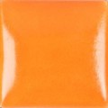 SN375 Neon Orange